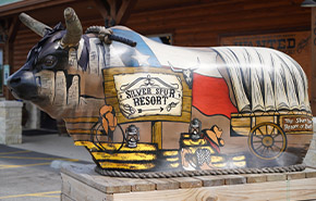 Our<br>Resort